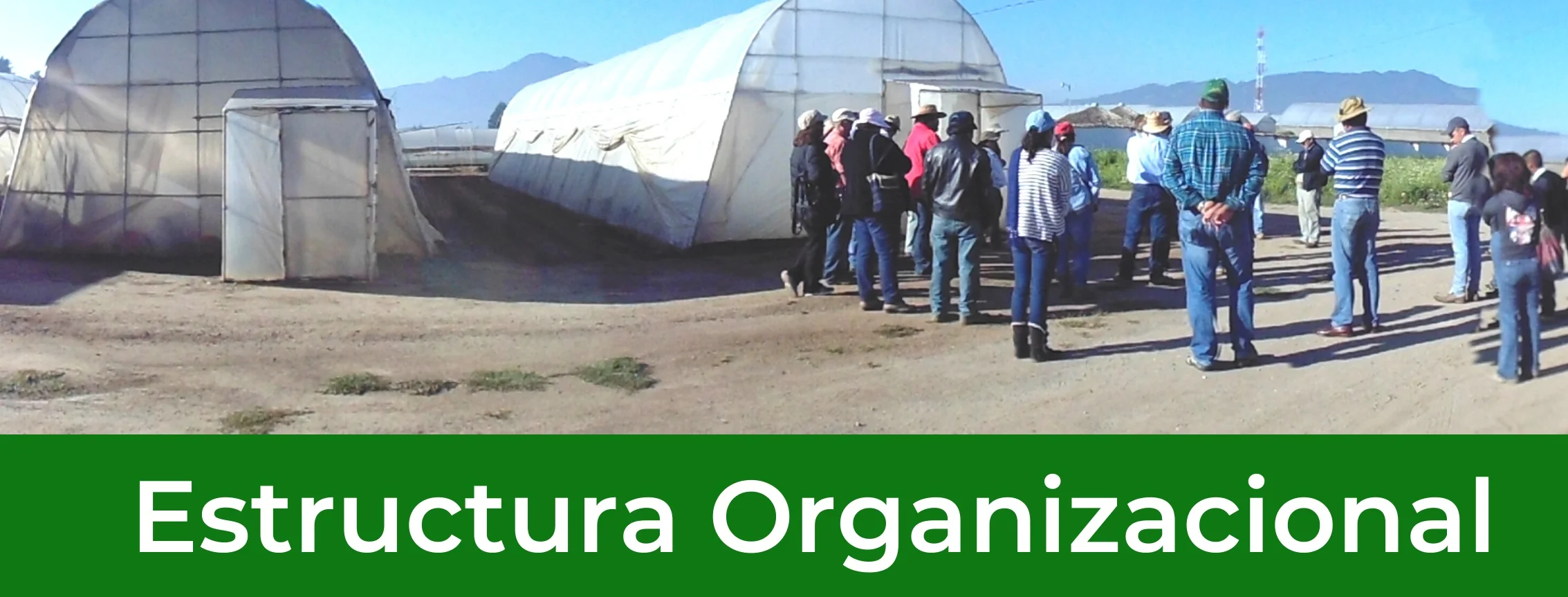 Organigrama ICTA